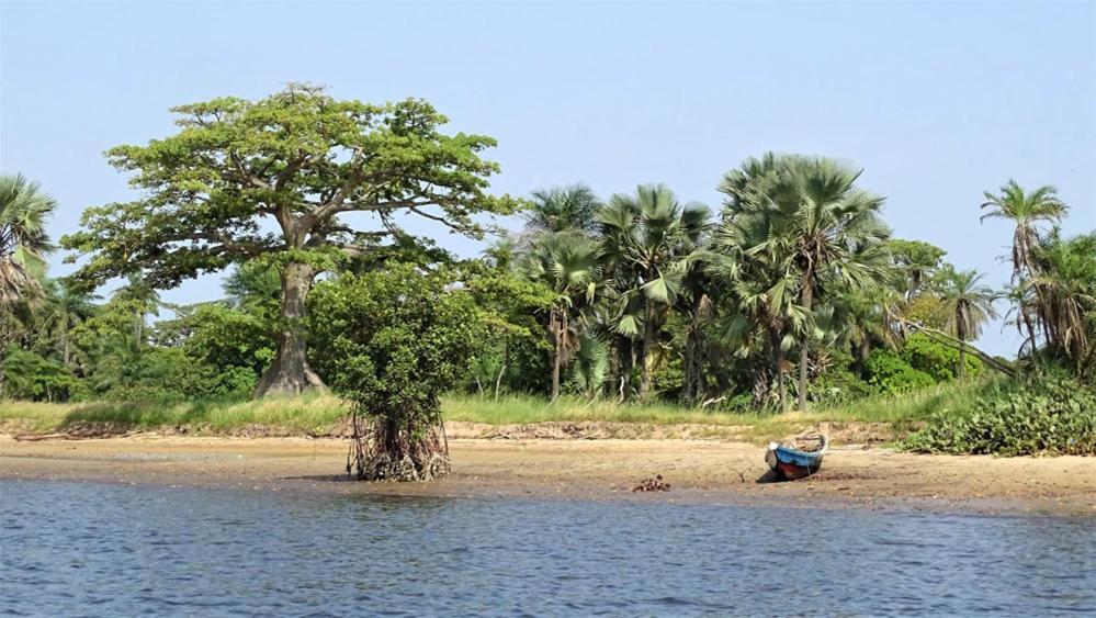 Eco-Lodge Hotel Oasis Fishing サンルイ エクステリア 写真